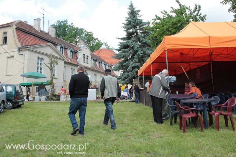 XX Targi Rolnicze Lubniewice 