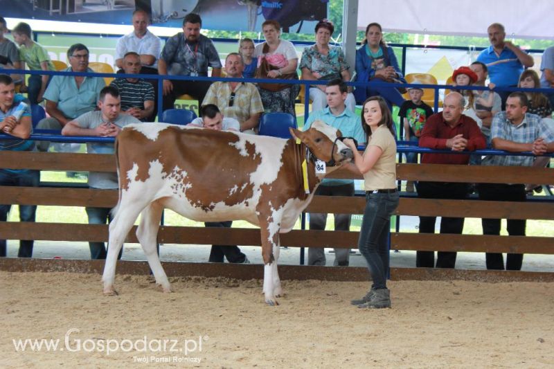Regionalna Wystawa Zwierząt Hodowlanych i Dni z Doradztwem Rolniczym w Szepietowie-niedziela
