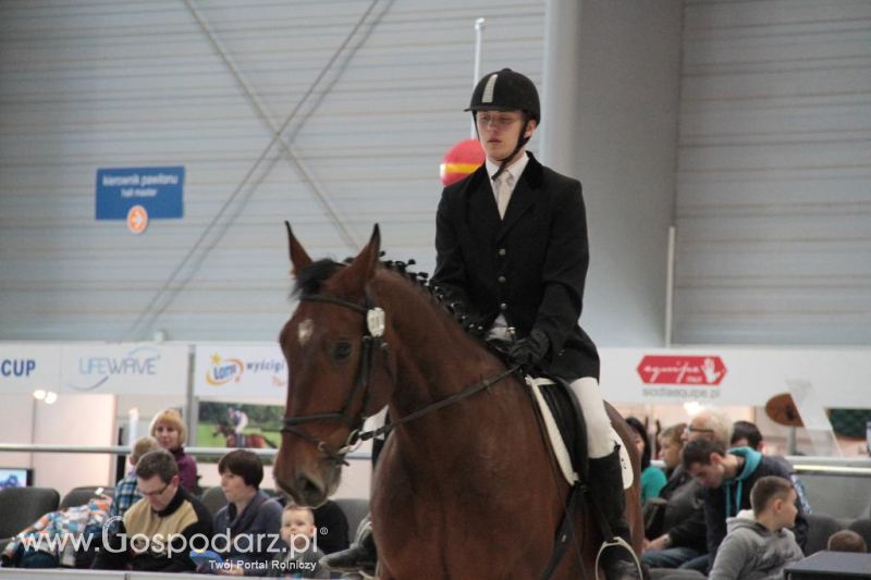 CAVALIADA 2013 w Poznaniu