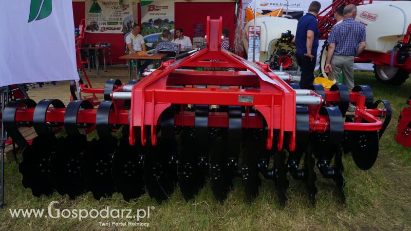 Bury na Opolagrze 2017