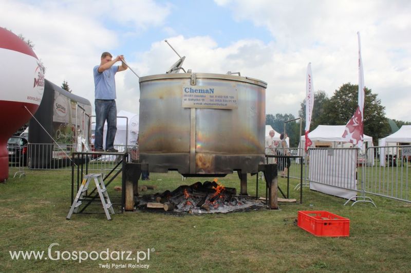 Świętomięs Polski w Chorzowie