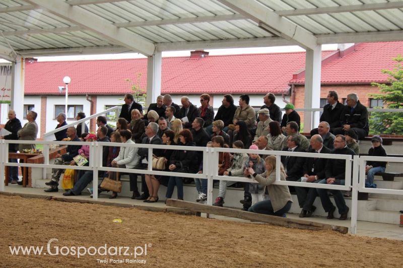Mali Hodowcy VII Ogólnopolska Wystawa Bydła Hodowlanego w Sielinku 2012
