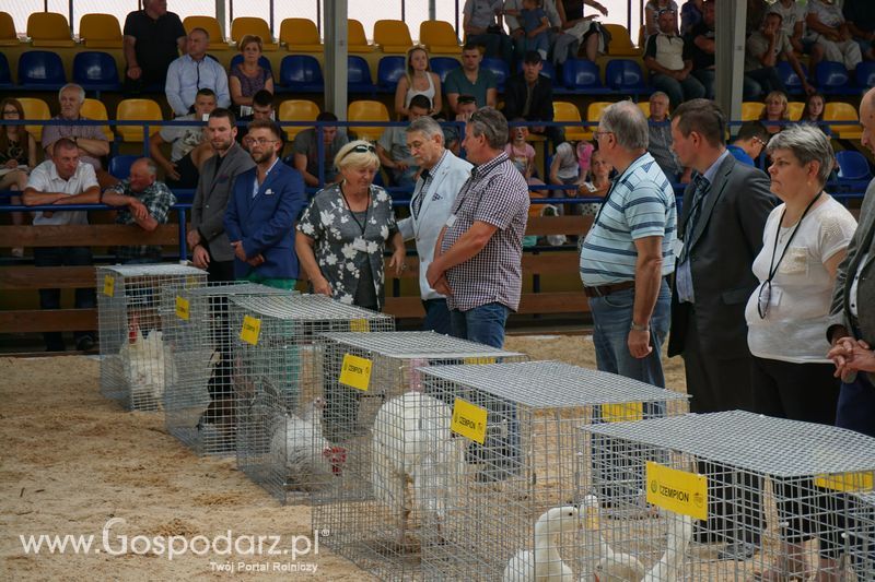 Wystawa zwierząt w Szepietowie