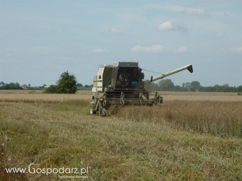 Żniwa Rzepakowe 2011