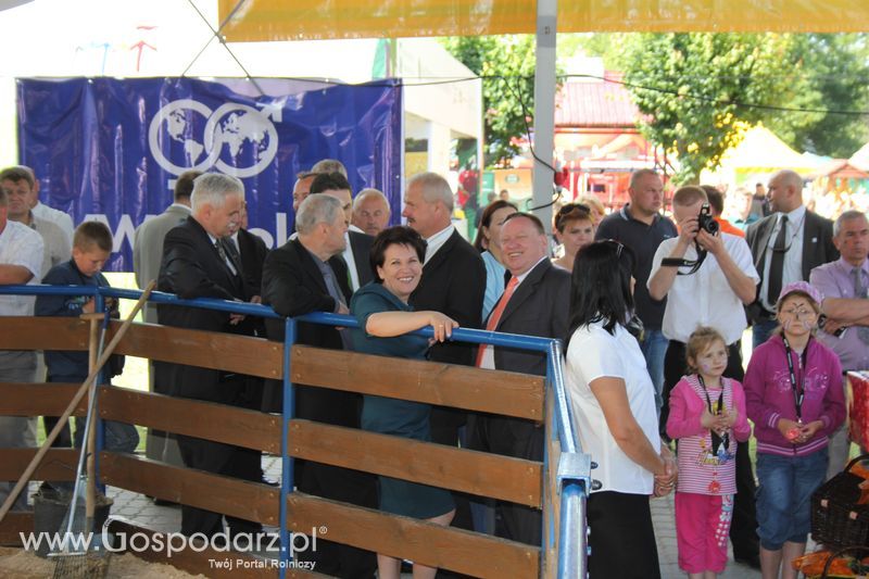 XVIII Regionalna Wystawa Zwierząt Hodowlanych i Dni z Doradztwem Rolniczym w Szepietowie - Sobota