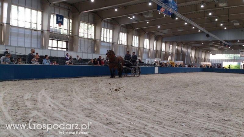 KWZH 2015. Bliskie spotkania ze zwierzętami hodowlanymi