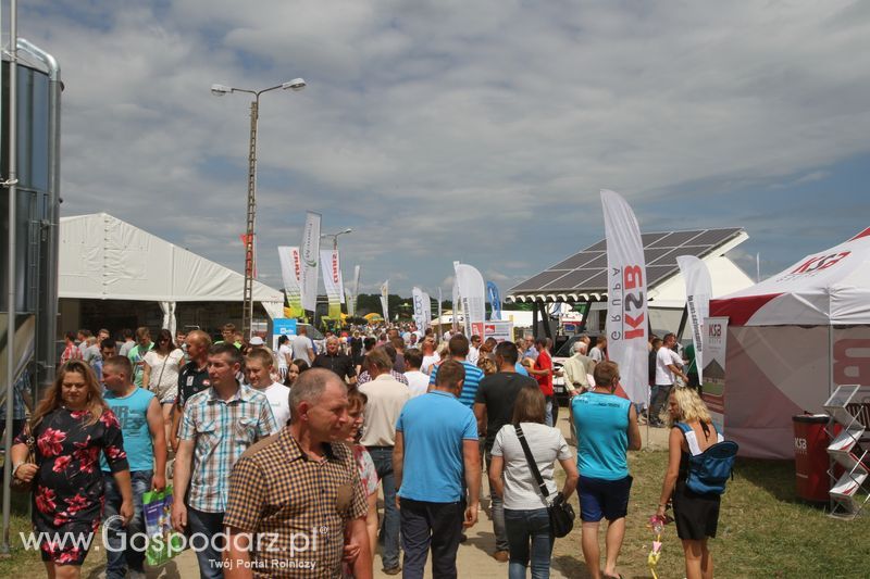 Targi rolne w Szepietowie (27-28.06.2015)