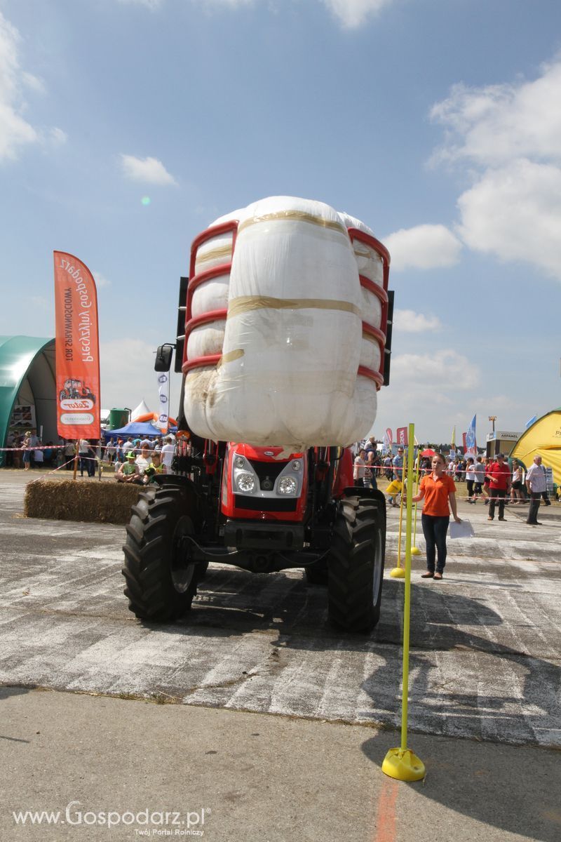 Precyzyjny Gospodarz na OPOLAGRZE 2015 - niedziela