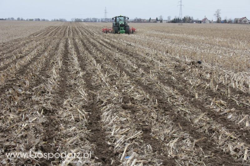 Kultywator STRIGER do uprawy pasowej