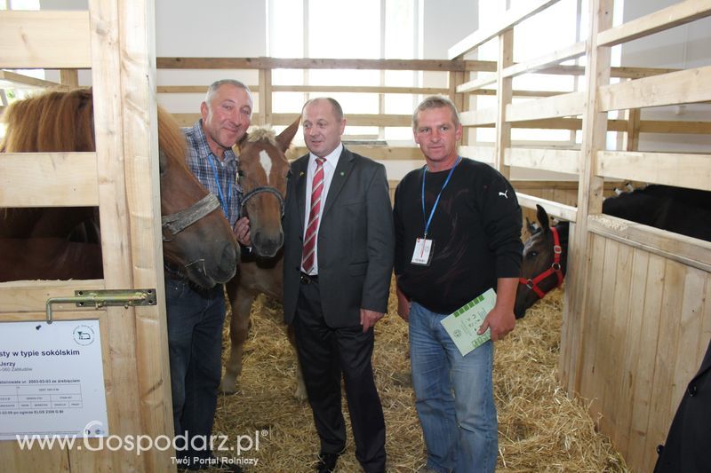 Spacer Ministra Sawickiego po terenie targów Polagra Food i KWZH