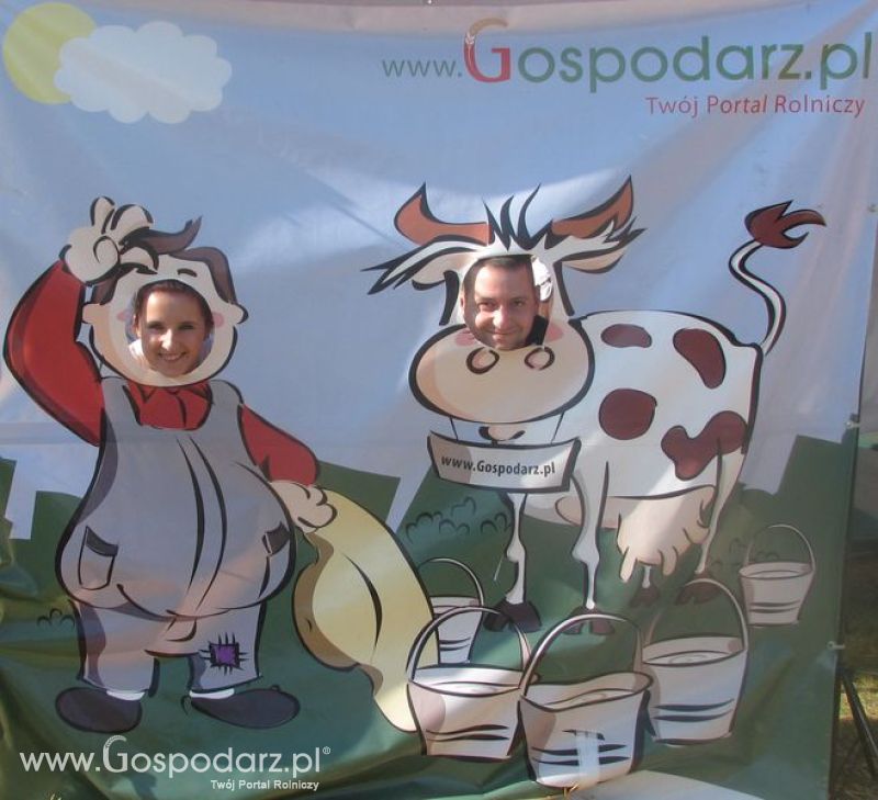 Agro Show 2011 Bednary Zdjęcie z krówką Niedziela