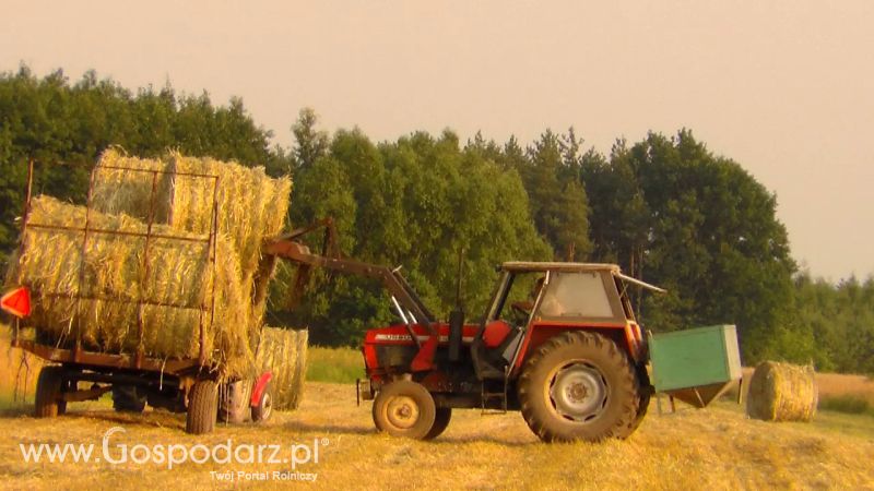 Zbiór Słomy 2013
