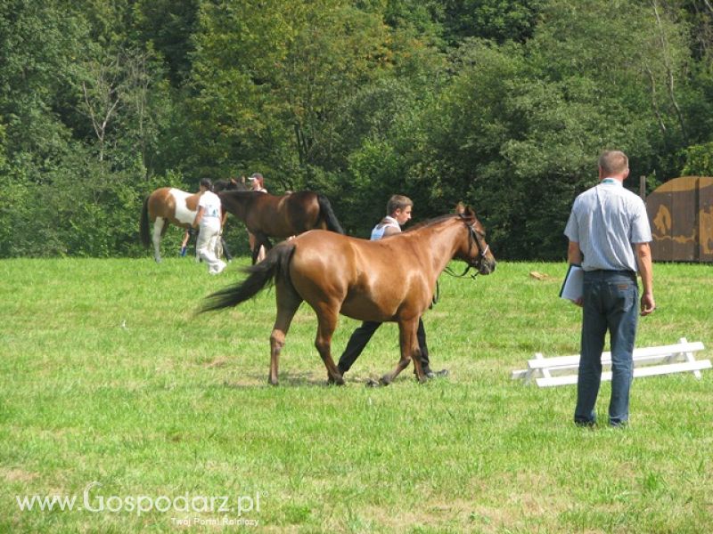 Krajowa Wystawa Ras Rodzimych Rudawka Rymanowska 2012