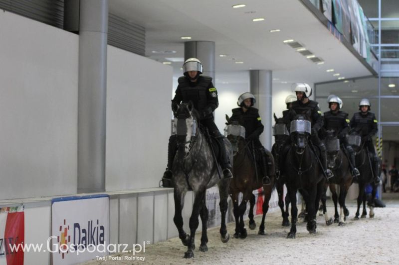 CAVALIADA 2013 w Poznaniu