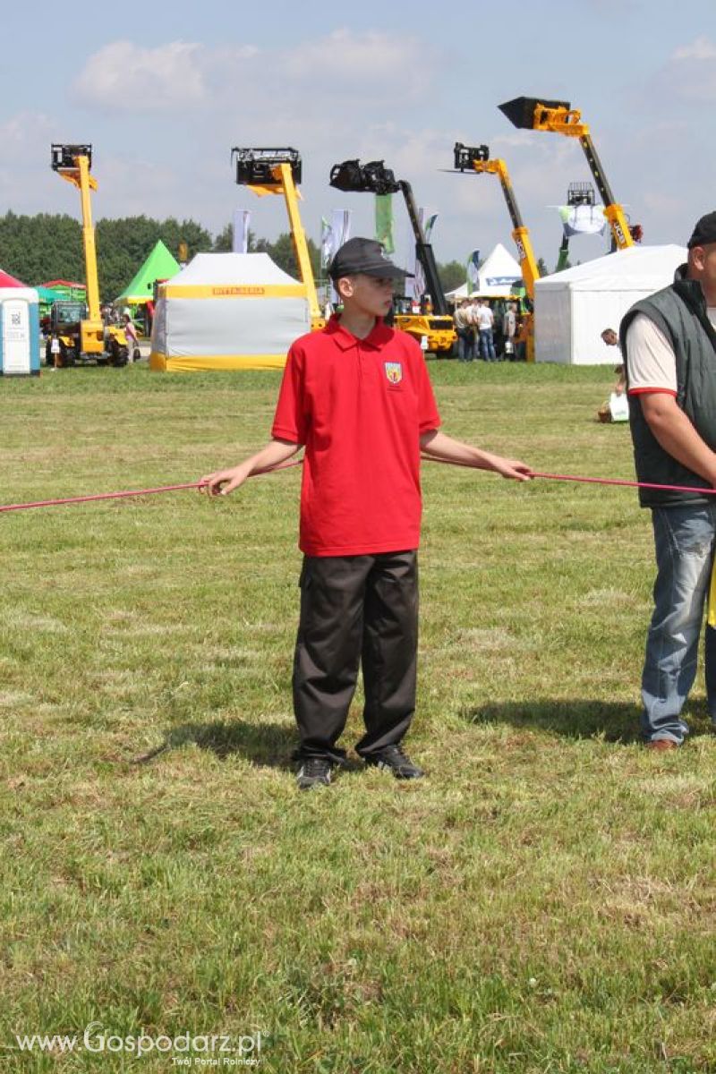 Zielone Agro Show i pokaz maszyn rolniczych - znajdź siebie