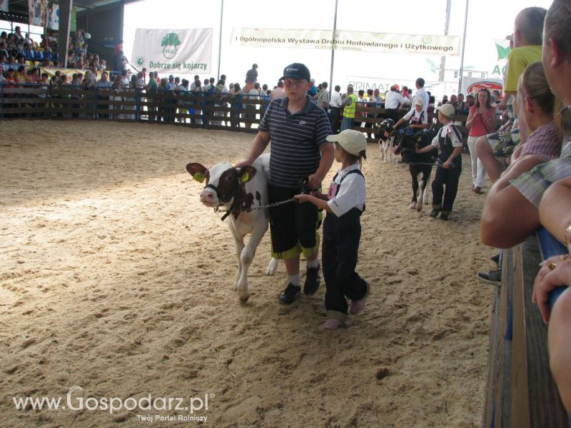 Młody Hodowca - Szepietowo 2012 XIX Regionalna Wystawa Zwierząt Hodowlanych