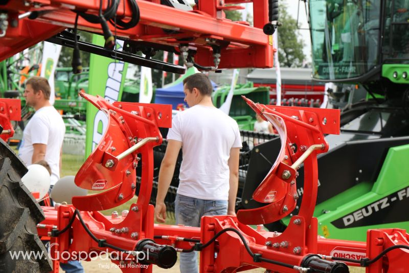 Maschio Gaspardo na Regionalnej Wystawie Zwierząt Hodowlanych i Dni z Doradztwem w Szepietowie 2017