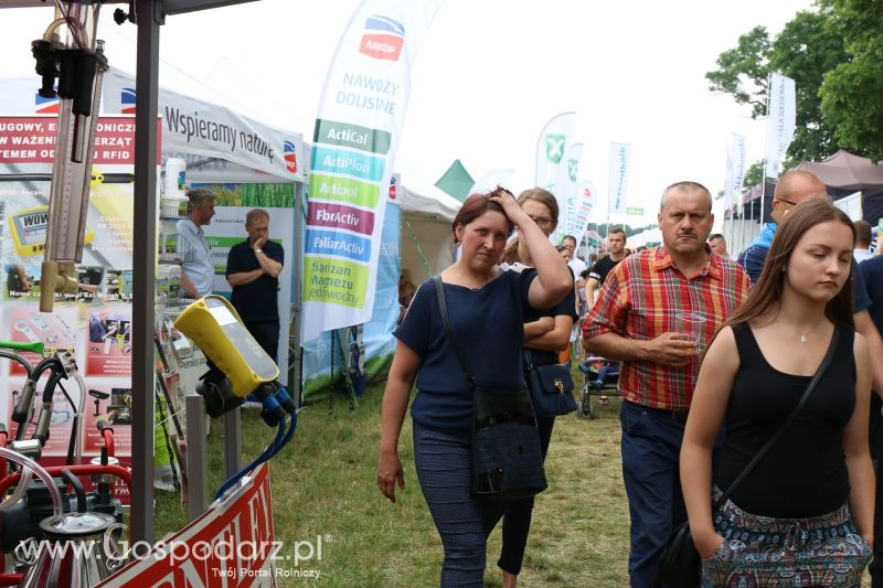 Arkop na Regionalnej Wystawie Zwierząt Hodowlanych i Dni z Doradztwem w Szepietowie 2017