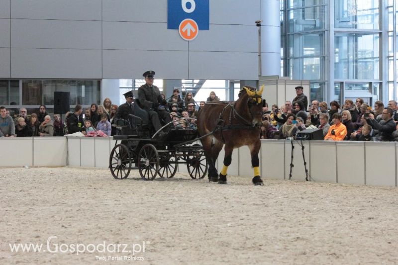 CAVALIADA 2013 w Poznaniu