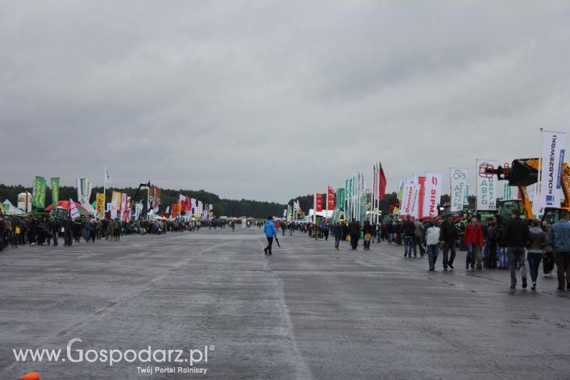 Polskie Zboża i Zielone Agro Show 2013