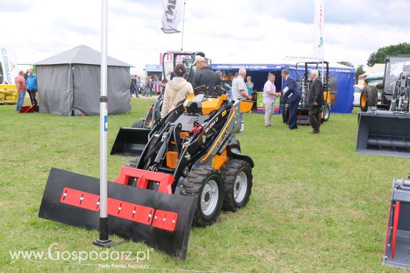 Giant na AGRO-TECH Minikowo 2017