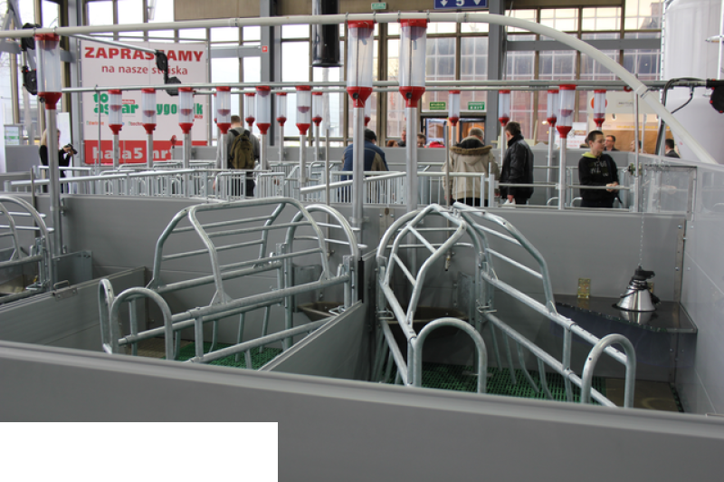 Polnet FARMA Poznań 2011