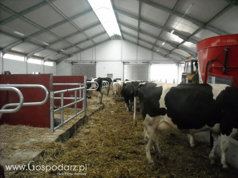 Dzień pracy rolnika-wizyta MrZgredy u MafiaOgiegooo