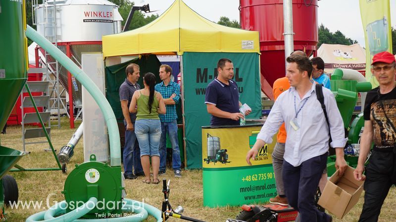 M-Rol na OPOLAGRZE 2015