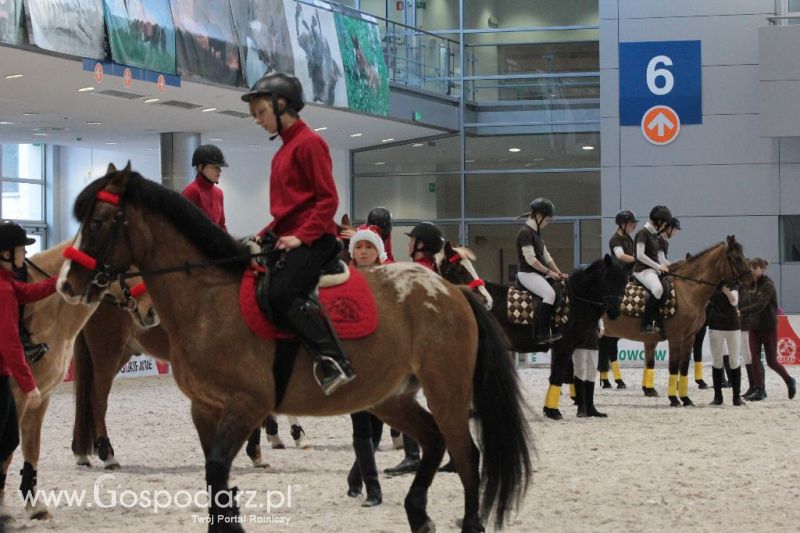 CAVALIADA 2013 w Poznaniu