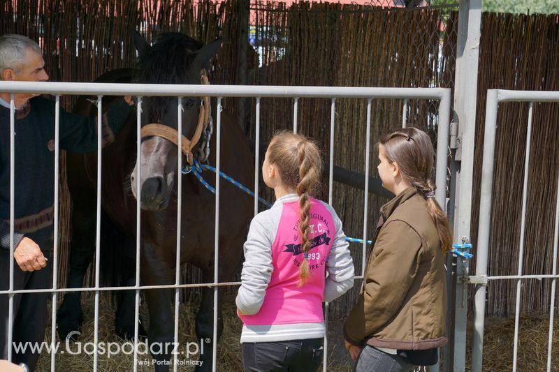 XXII Żuławskie Targi Rolne w Starym Polu