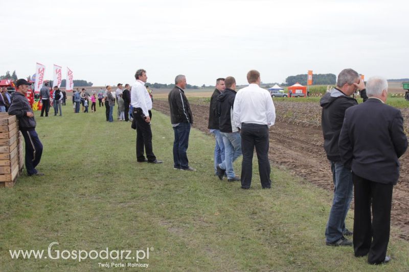 XIX Krajowe Dni Ziemniaka w Marszewie