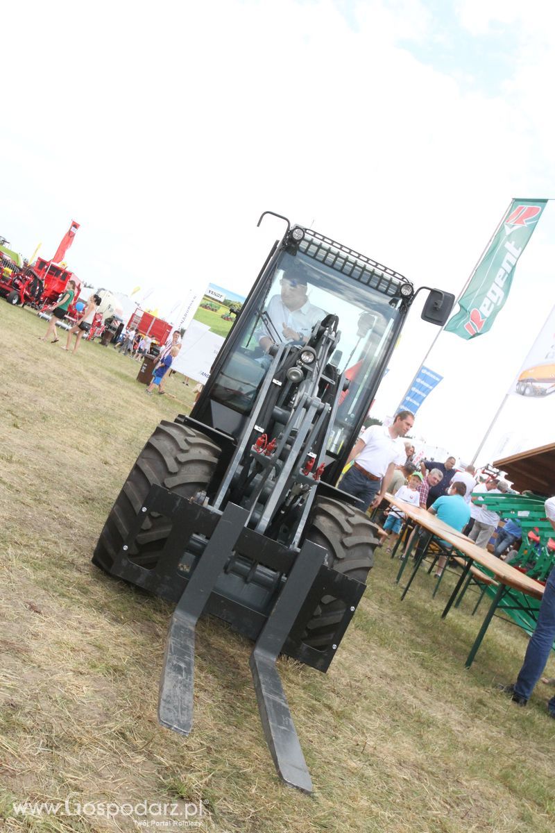 GIANT na OPOLAGRA Kamień Śląski 2018