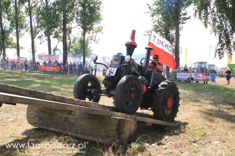 XII Festiwal Starych Ciągników im. Jerzego Samelczaka w Wilkowicach 2013 - sobota