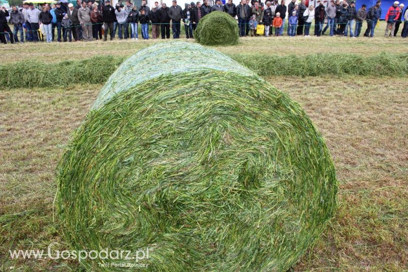 Pokazy maszyn Polskie Zboża Zielone Agro Show 2013