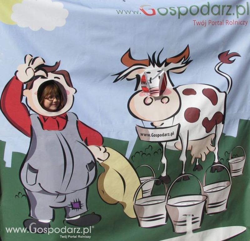 Agro Show 2011 Bednary Zdjęcie z krówką Sobota
