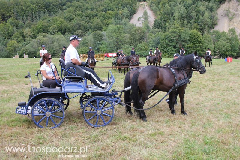 Pokazy konne i wręczenie nagród w Rudawce Rymanowskiej