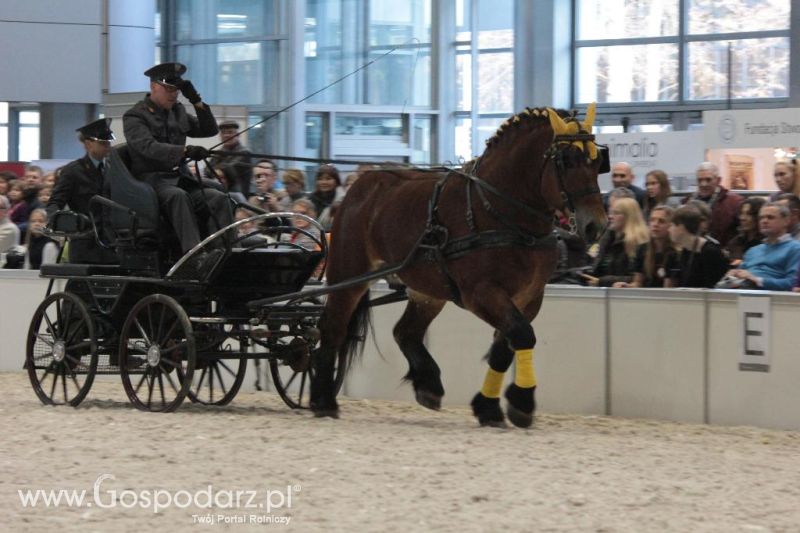 CAVALIADA 2013 w Poznaniu