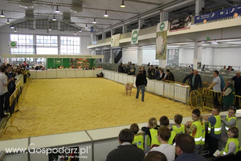 XXVI Krajowa Wystawa Zwierząt Hodowlanych - piątek