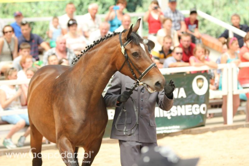 Zielone AGRO SHOW – POLSKIE ZBOŻA 2014 w Sielinku - niedziela