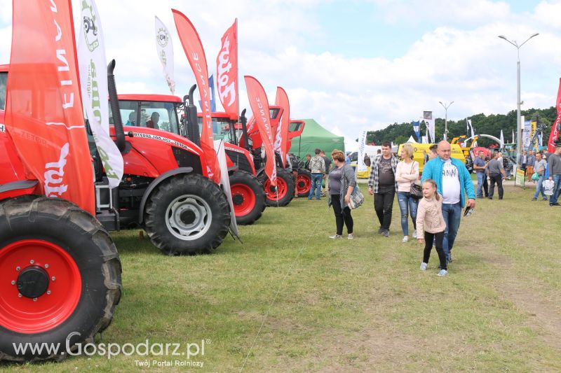 Zetor na AGRO-TECH Minikowo 2017