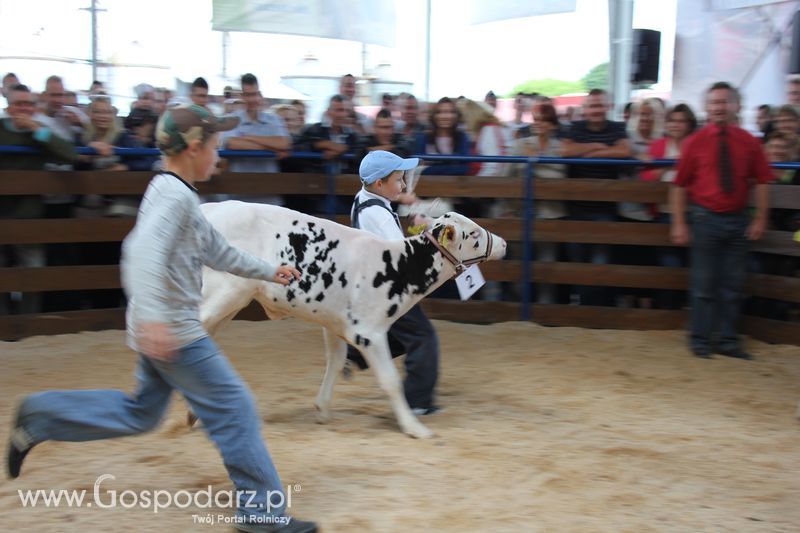 Młody hodowca na XVIII Regionalnej Wystawie Zwierząt Hodowlanych w Szepietowie