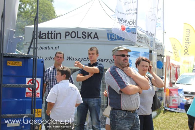 Regionalna Wystawa Zwierząt Hodowlanych i Dni z Doradztwem Rolniczym w Szepietowie-sobota