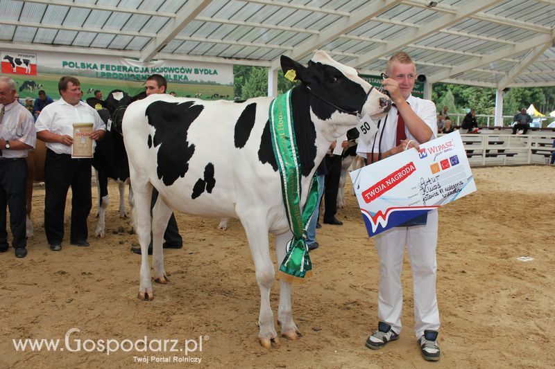 Czempioni XVII Regionalnej Wystawy Zwierząt Hodowlanych Sielinko 2011