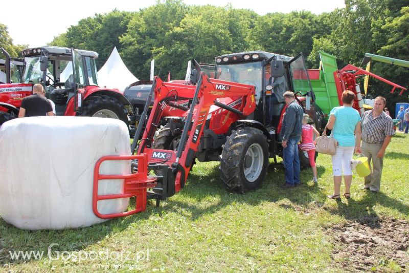 Regionalna Wystawa Zwierząt Hodowlanych i Dni z Doradztwem Rolniczym w Szepietowie-sobota