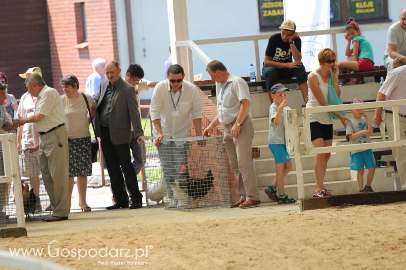 Zielone AGRO SHOW – POLSKIE ZBOŻA 2014 w Sielinku - niedziela