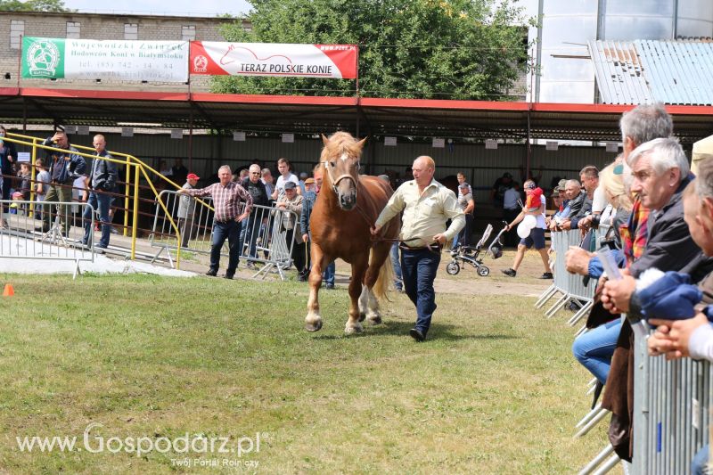 Regionalna Wystawa Zwierząt Hodowlanych i Dni z Doradztwem Rolniczym w Szepietowie 2017