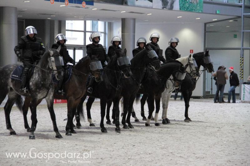 CAVALIADA 2013 w Poznaniu