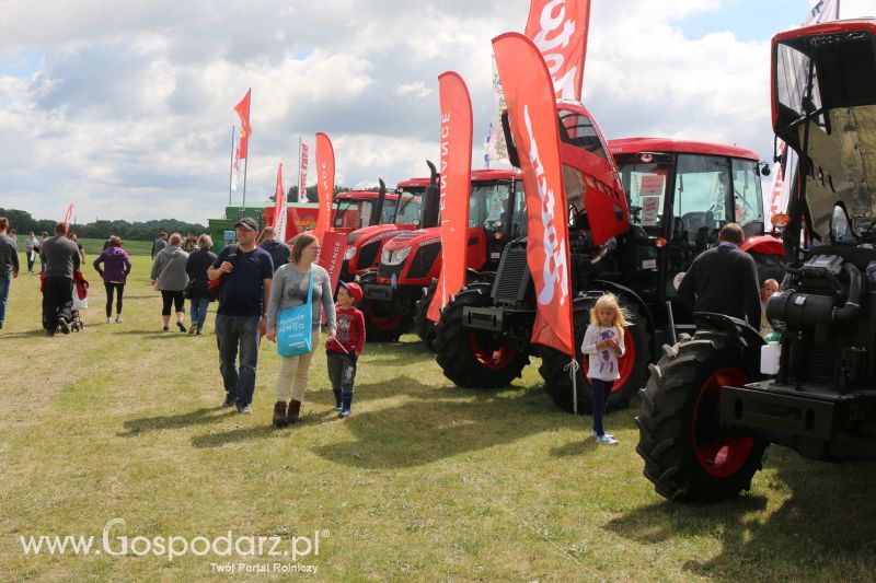 Zetor na AGRO-TECH Minikowo 2017