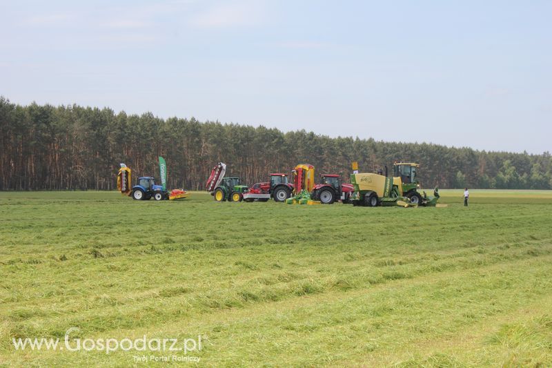 Zielone Agro Show pokaz maszyn rolniczych