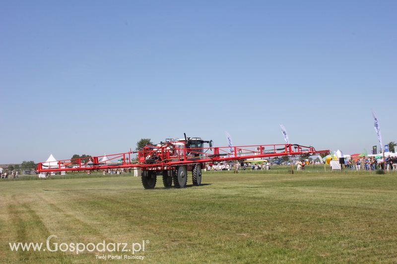 Polskie Zboża 2011 - Piątek 